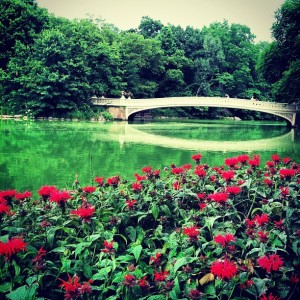 Puente en The Lake en Central Park