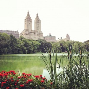 The Lake en Central Park