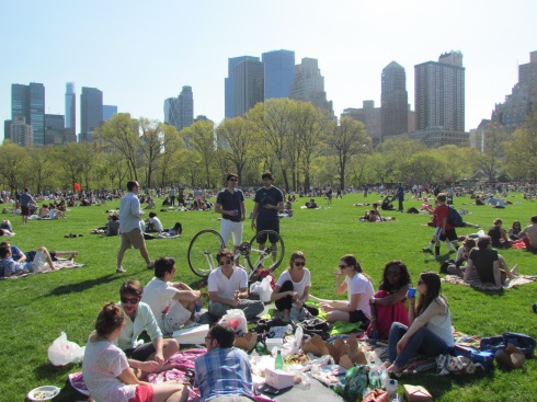 Picnic @Sheep Meadow, Central Park